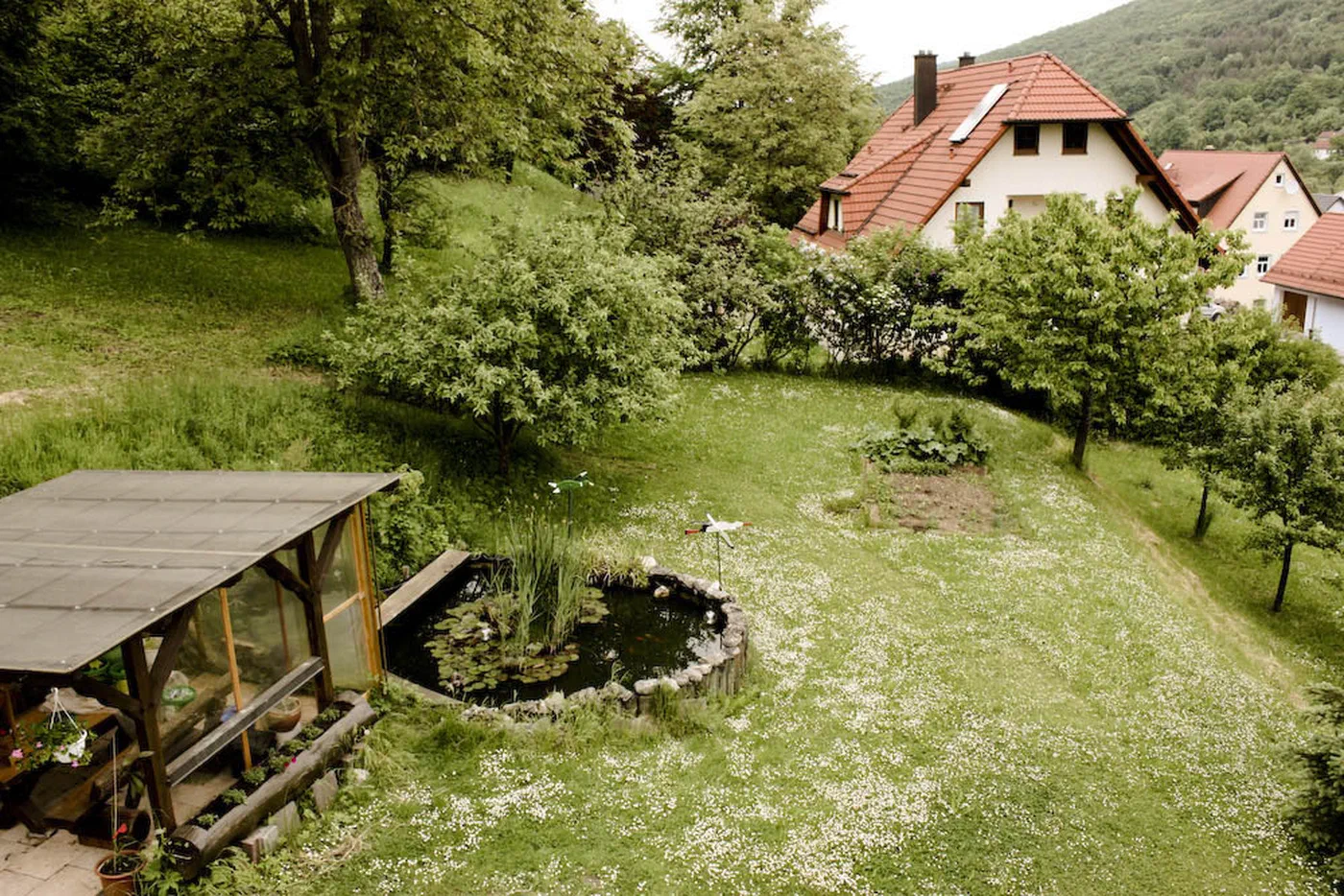 Blick in den Garten