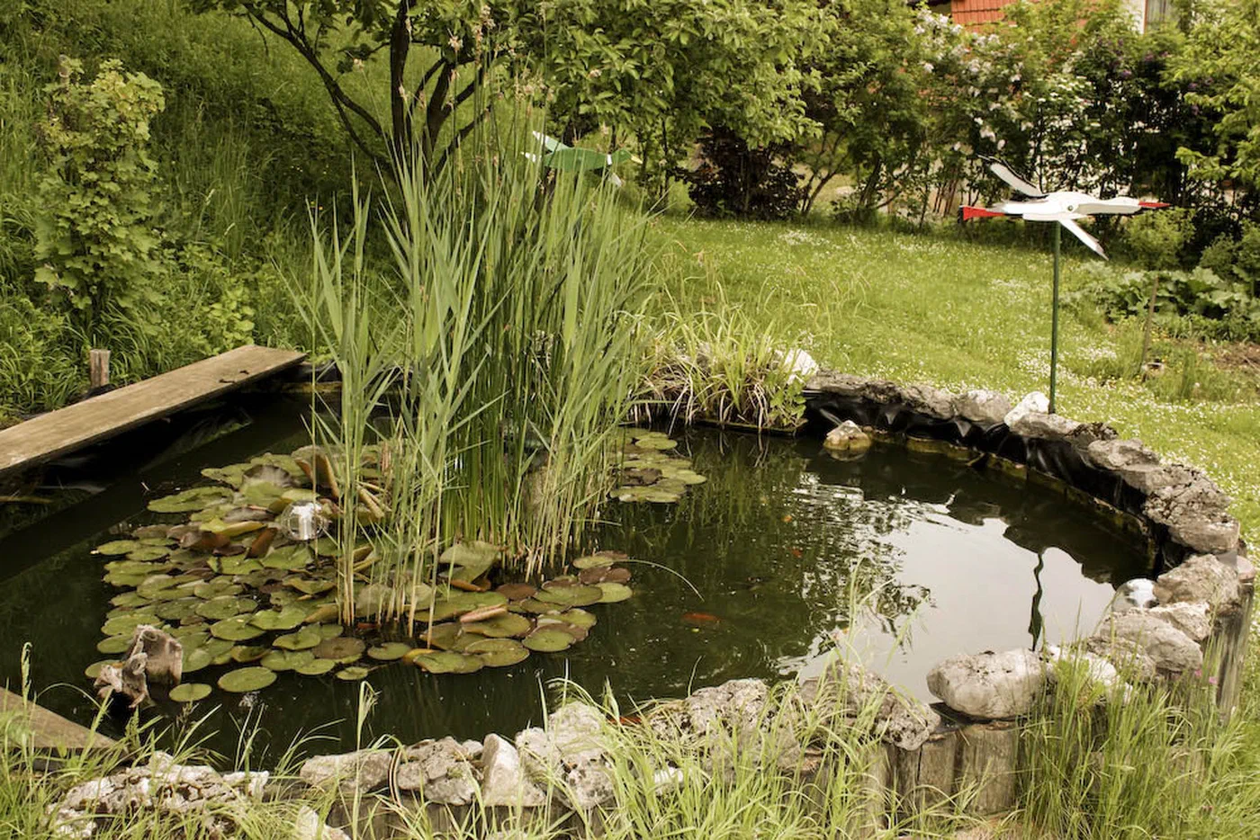Fischteich im Garten